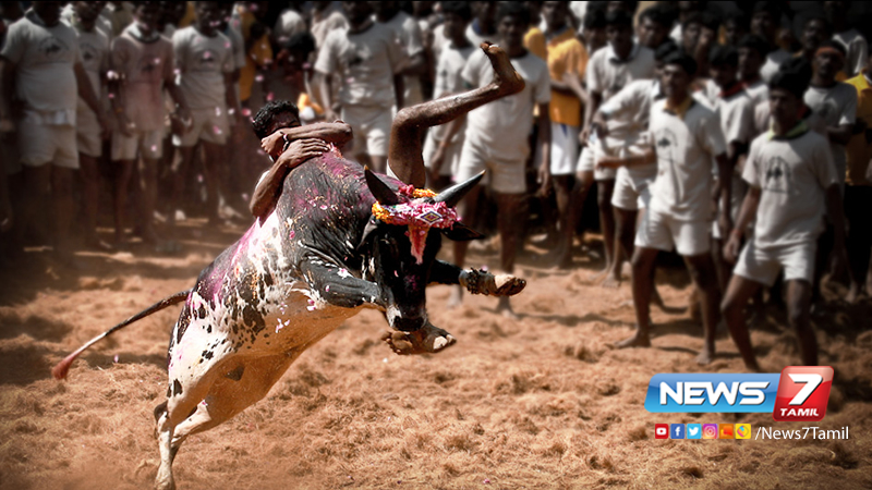 உரிய பாதுகாப்புடன் ஜல்லிக்கட்டு போட்டிகள்-அமைச்சர் உத்தரவு